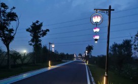 咸丰公园景观路灯改造
