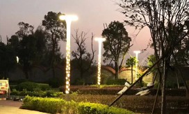 左岭中国地质大学未来城校区对面庭院灯