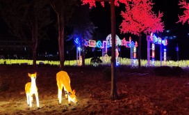 贵州玉屏县云起小镇亮化