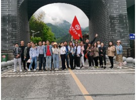 公司服务团队30人